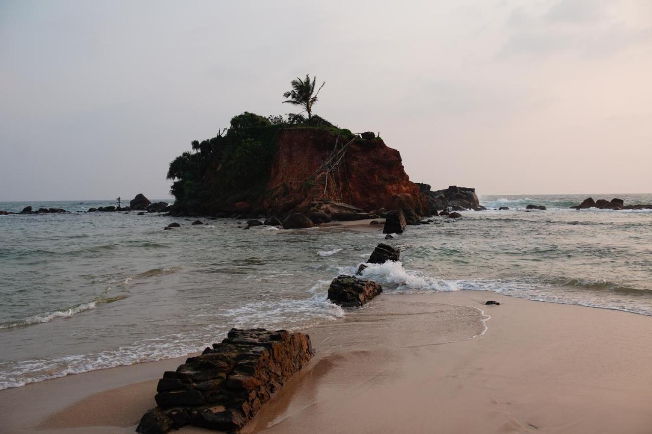 Отель Turtle Bay Beach Resort *