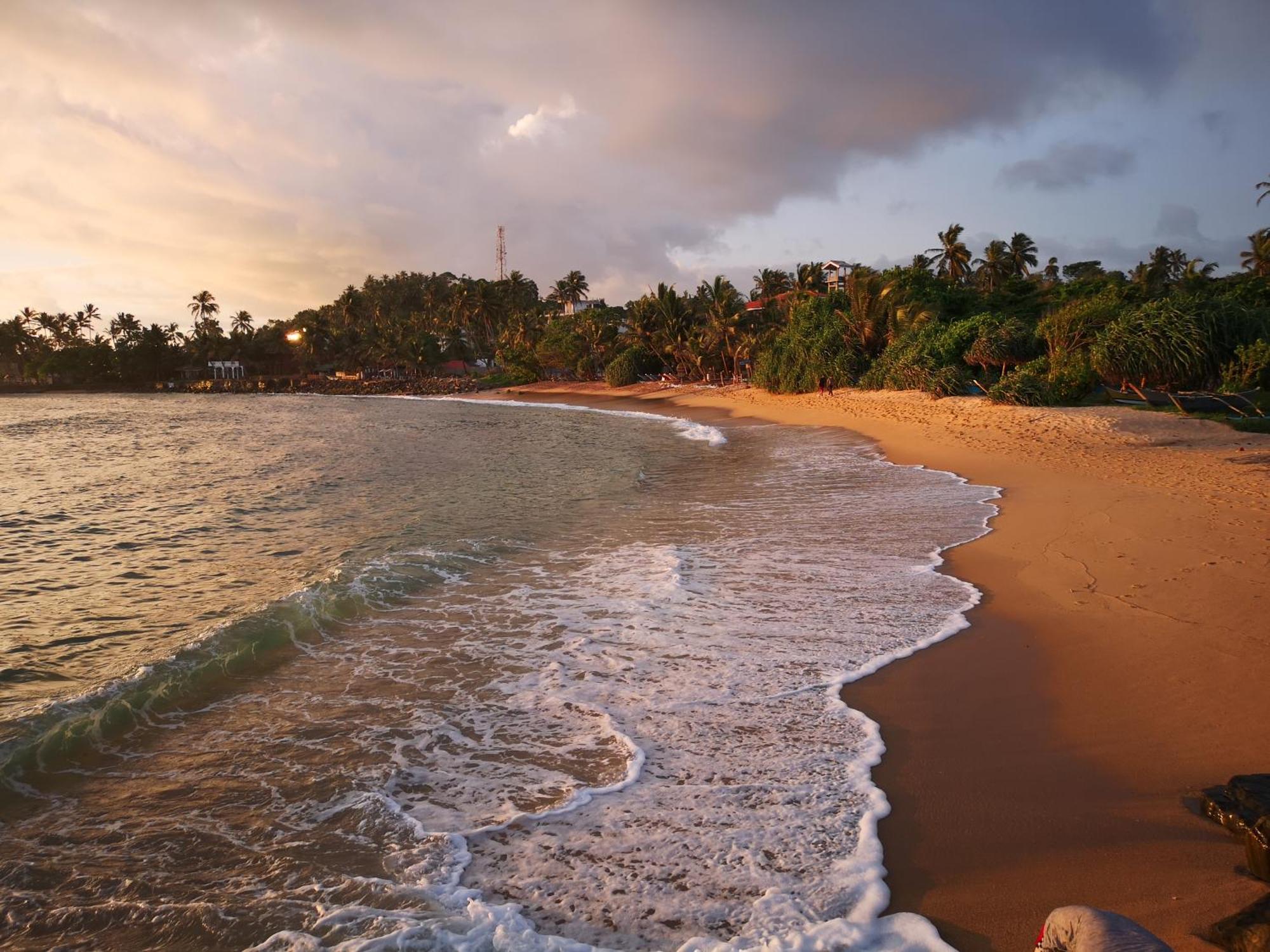 فندق Turtle Bay ميريسا
